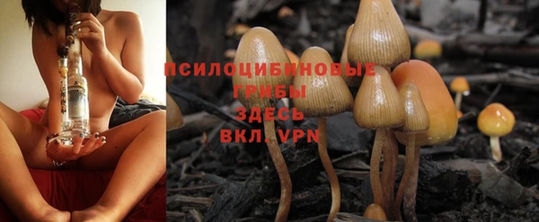 PSILOCYBIN Богородицк